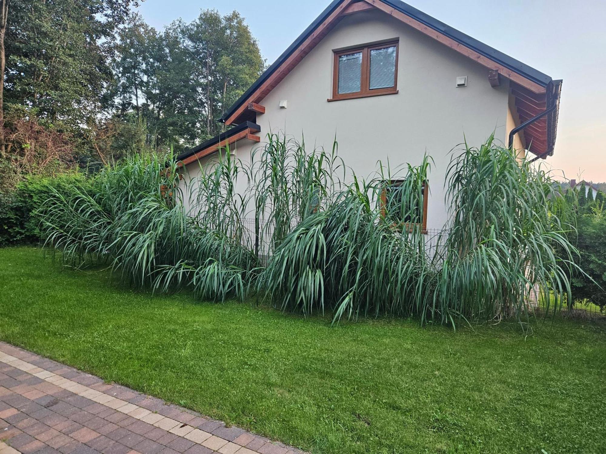 Osada Cztery Pory Roku - Dom Jesien Villa Kopalino Ngoại thất bức ảnh